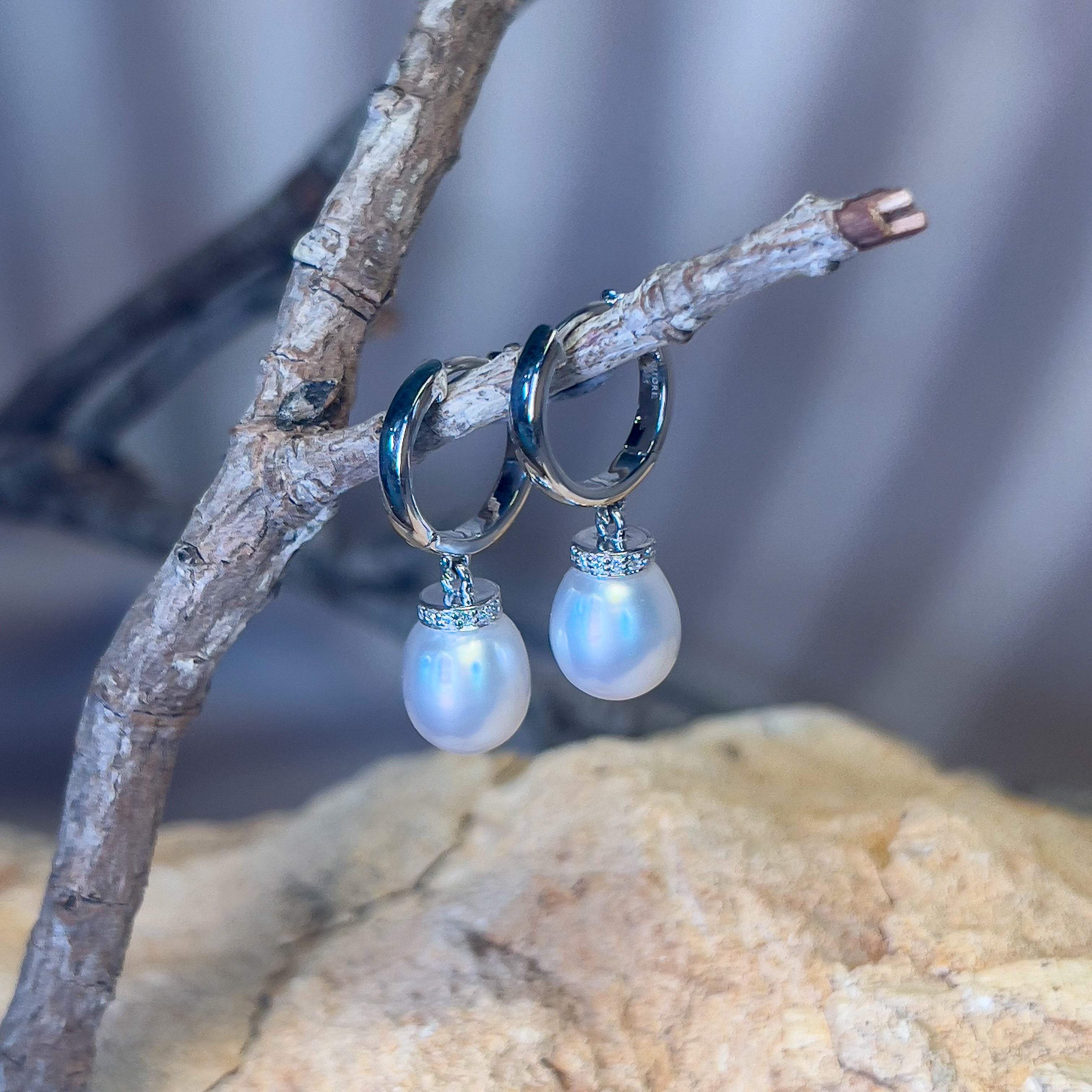 Sterling Silver drop 8mm South Sea Pearl huggie style earrings - Masterpiece Jewellery Opal & Gems Sydney Australia | Online Shop