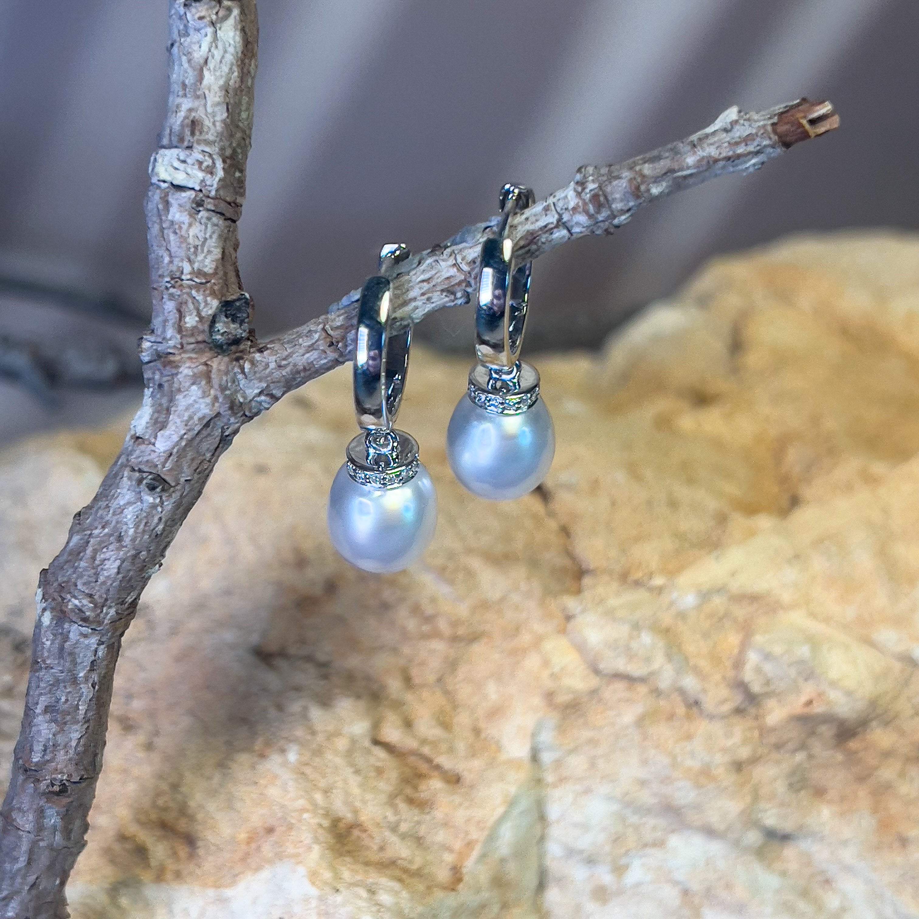 Sterling Silver drop 8mm South Sea Pearl huggie style earrings - Masterpiece Jewellery Opal & Gems Sydney Australia | Online Shop
