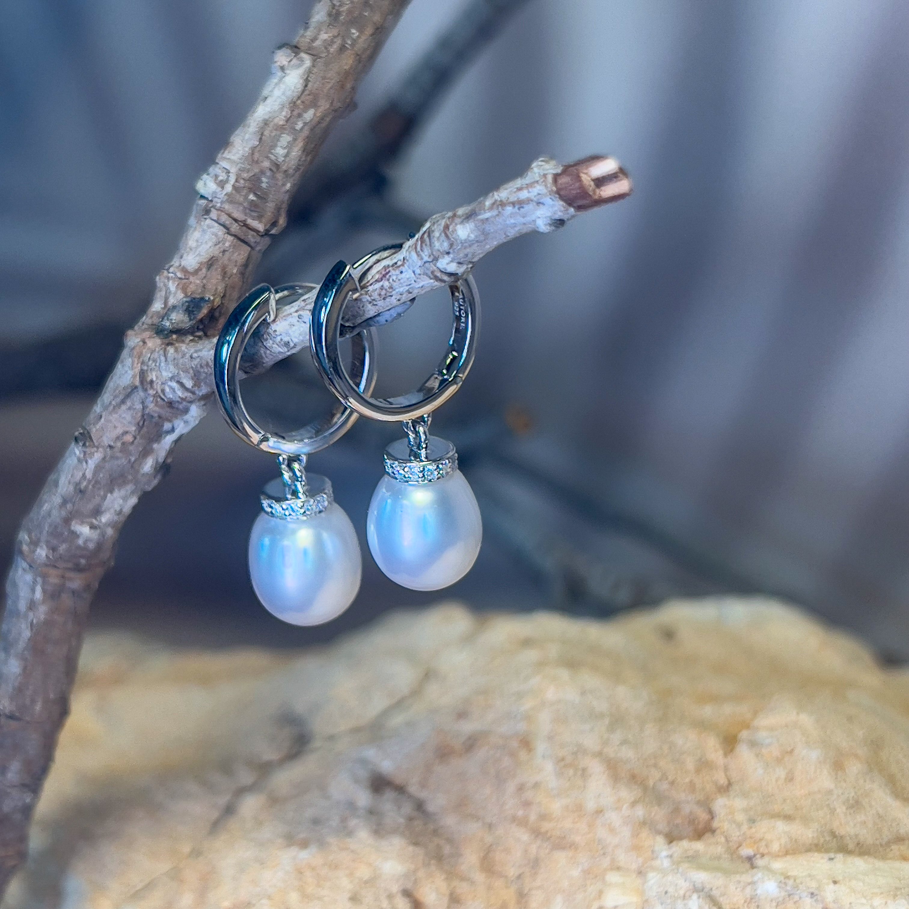 Sterling Silver drop 8mm South Sea Pearl huggie style earrings - Masterpiece Jewellery Opal & Gems Sydney Australia | Online Shop