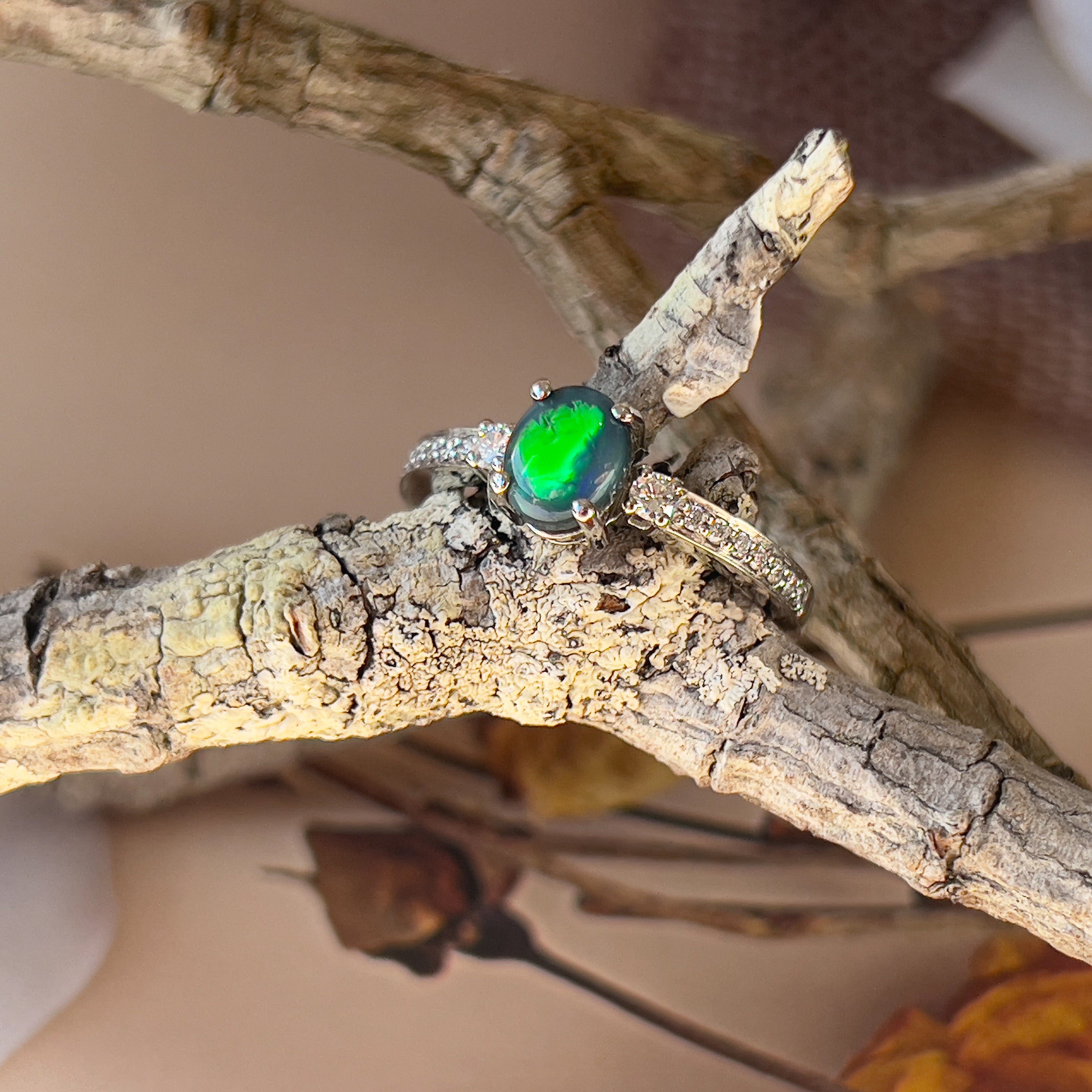 Platinum Black Opal 0.67ct and Diamond ring - Masterpiece Jewellery Opal & Gems Sydney Australia | Online Shop