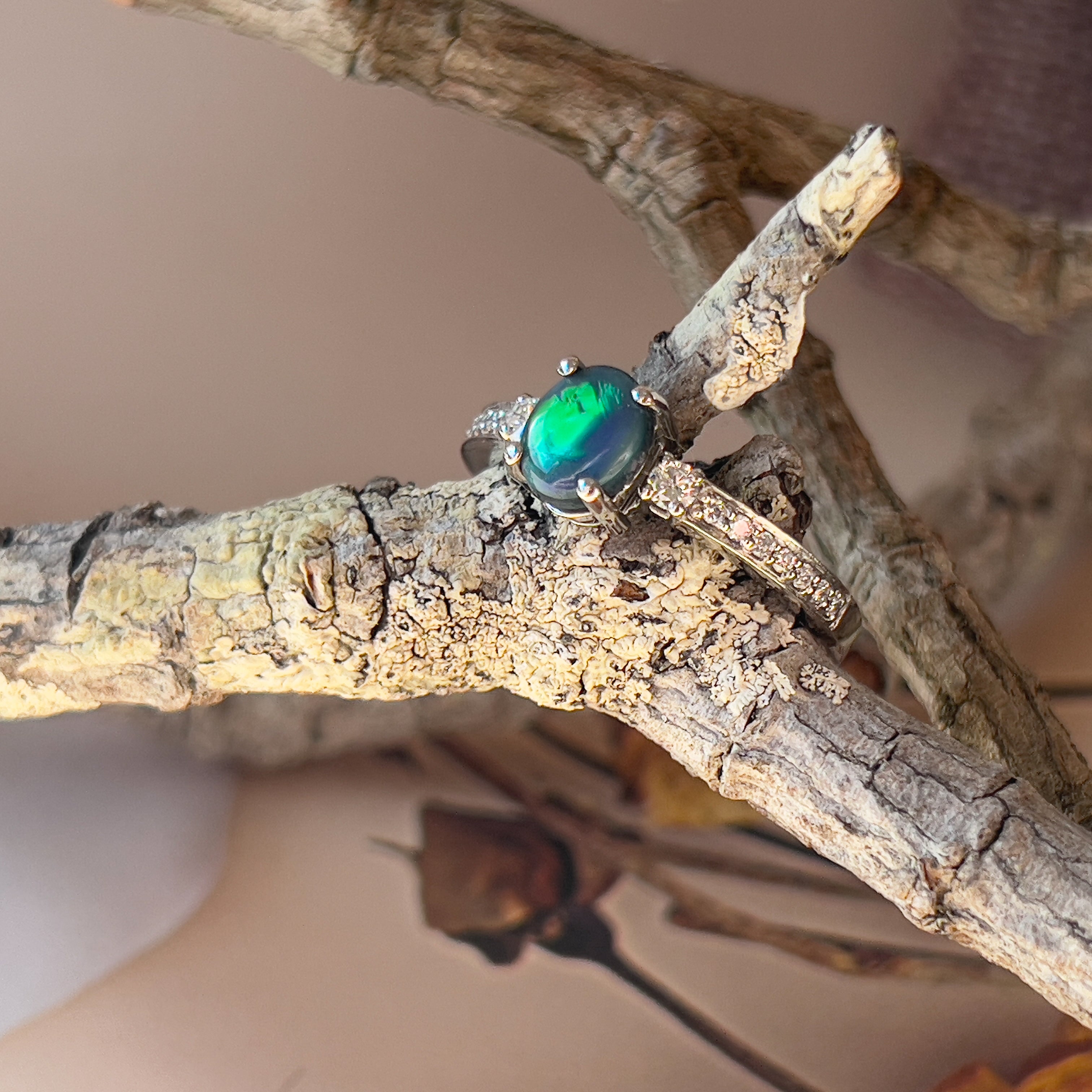 Platinum Black Opal 0.67ct and Diamond ring - Masterpiece Jewellery Opal & Gems Sydney Australia | Online Shop