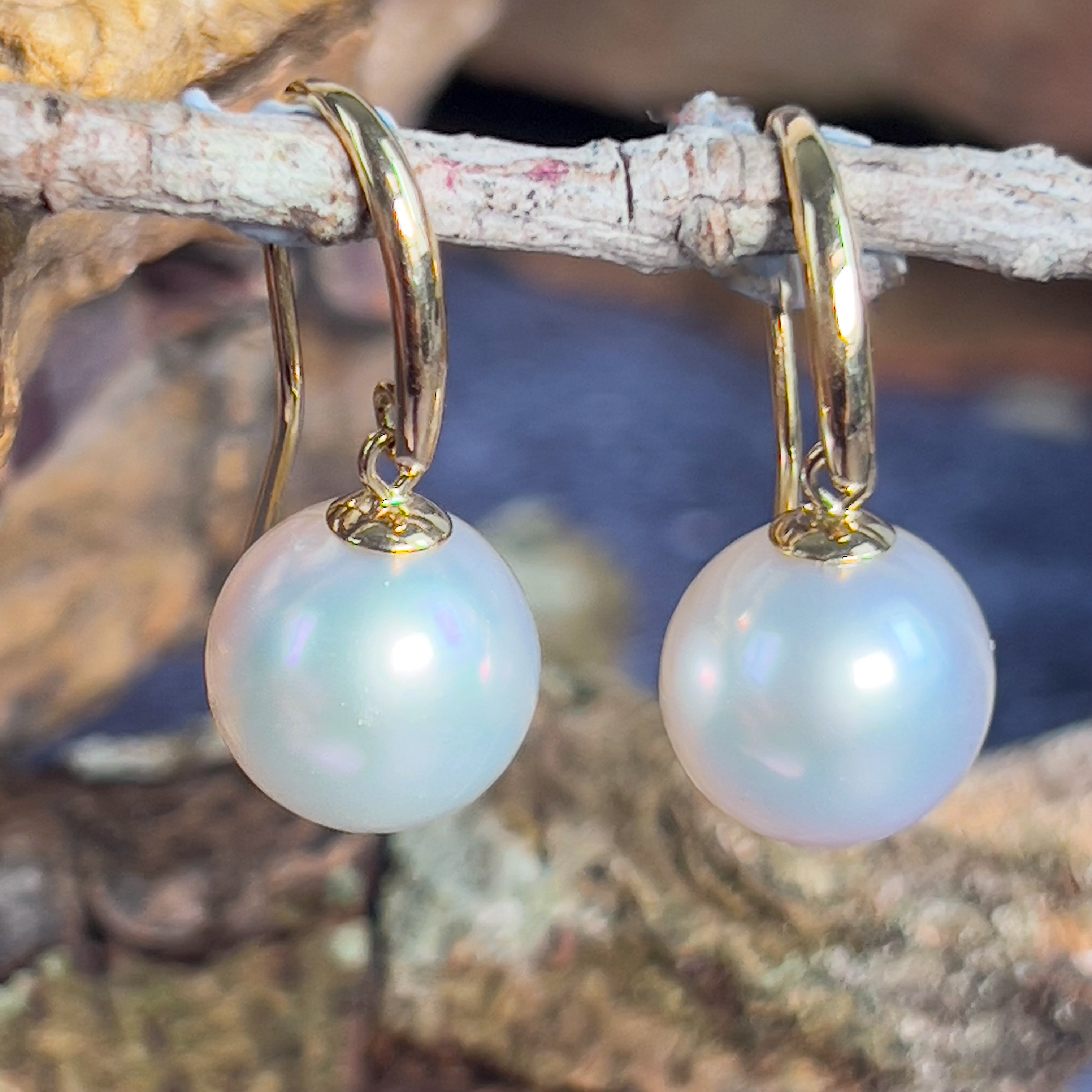 Pair of 10-11mm South Sea 18kt Yellow gold dangling hook earrings - Masterpiece Jewellery Opal & Gems Sydney Australia | Online Shop