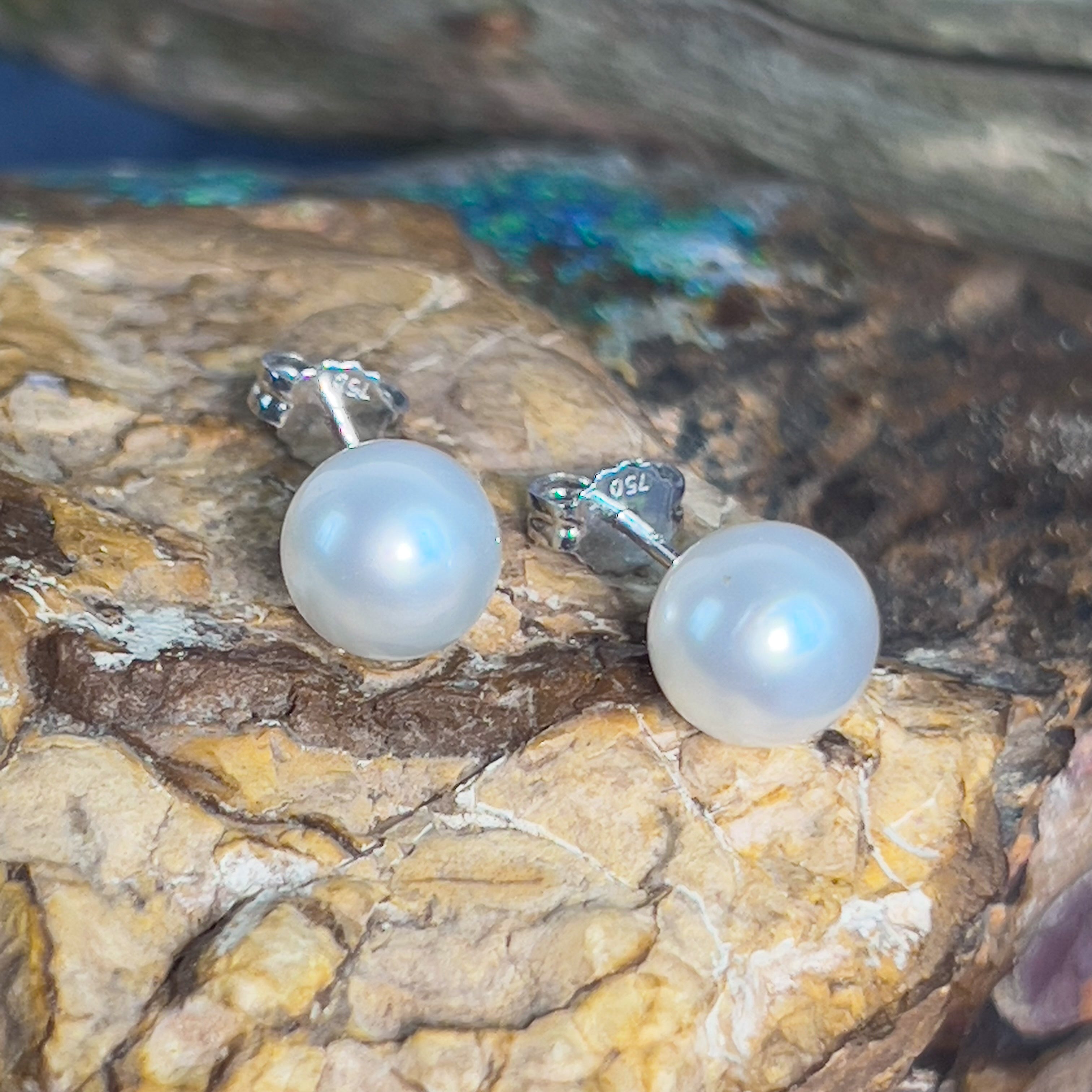 Pair of South Sea Pearls 8-9mm with 18kt White Gold studs - Masterpiece Jewellery Opal & Gems Sydney Australia | Online Shop