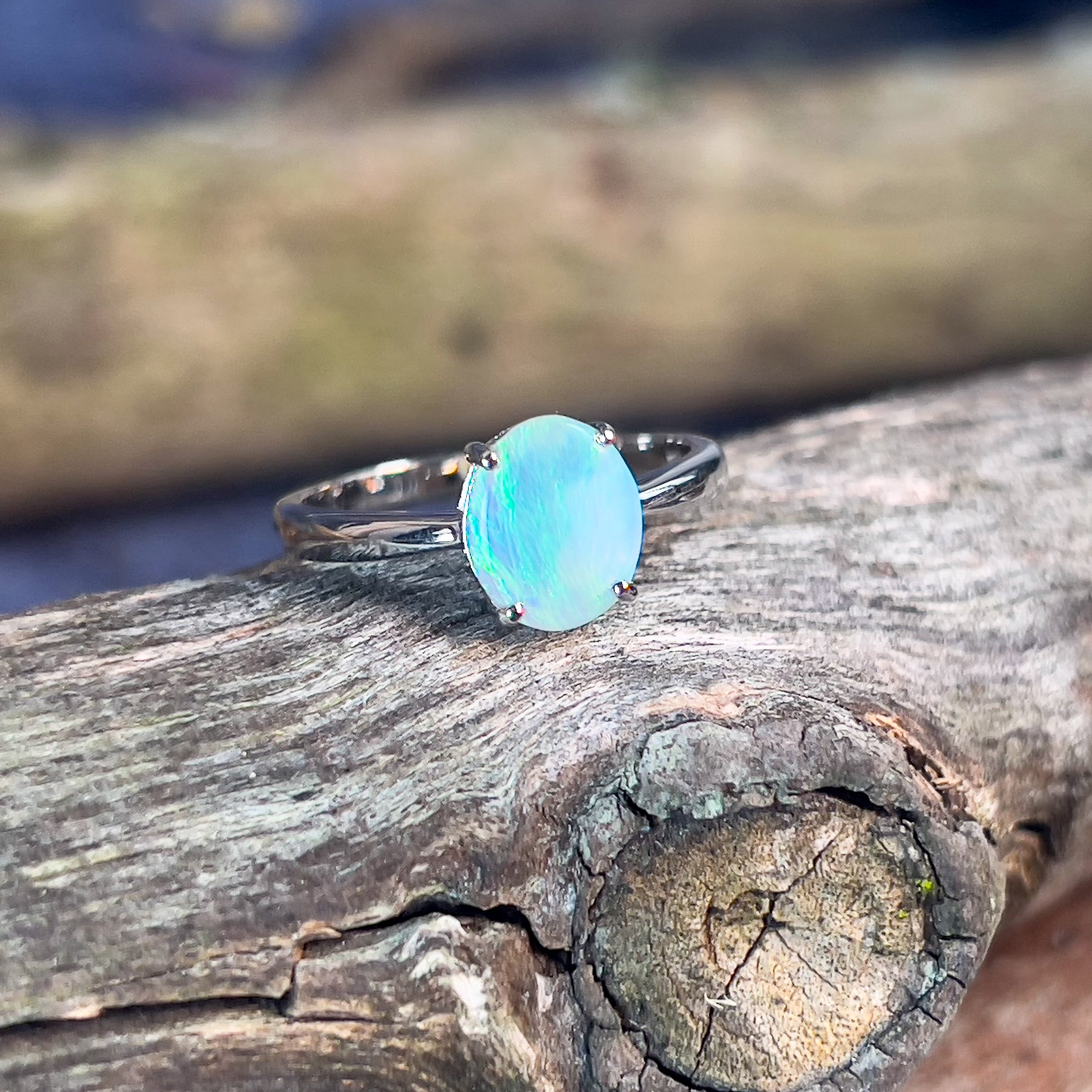 Sterling Silver 9x7.5mm Black Opal solitaire ring - Masterpiece Jewellery Opal & Gems Sydney Australia | Online Shop