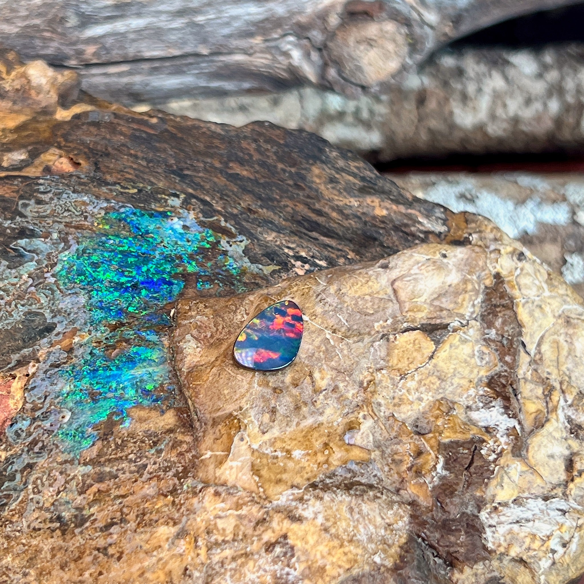 Red and orange fire in a 1.5ct Australian opal doublet, held against weathered ironstone