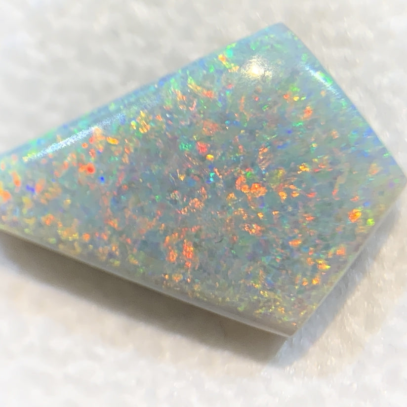 Kite shape Black Opal 5.85ct - Masterpiece Jewellery Opal & Gems Sydney Australia | Online Shop