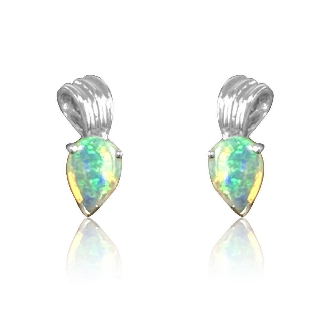 14kt White Gold Opal earrings - Masterpiece Jewellery Opal & Gems Sydney Australia | Online Shop