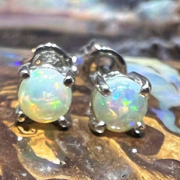 9kt White gold Opal studs - Masterpiece Jewellery Opal & Gems Sydney Australia | Online Shop