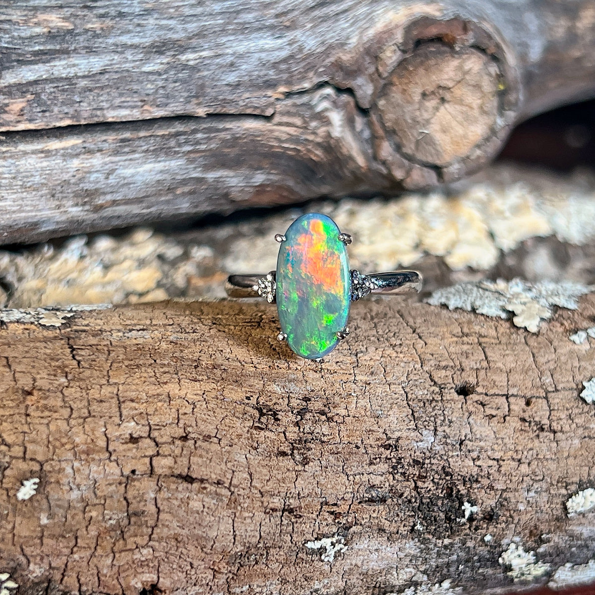 Black opal and diamond ring in 18kt white gold, oval Australian black opal on weathered timber