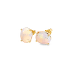 9kt Yellow Gold studs set with two 10x8mm Light Opals claw set 3ct