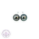 South Sea tahitian pearls 9-10mm studs