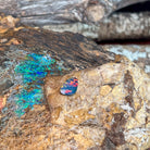 Red and orange fire in a 1.5ct Australian opal doublet, held against weathered ironstone